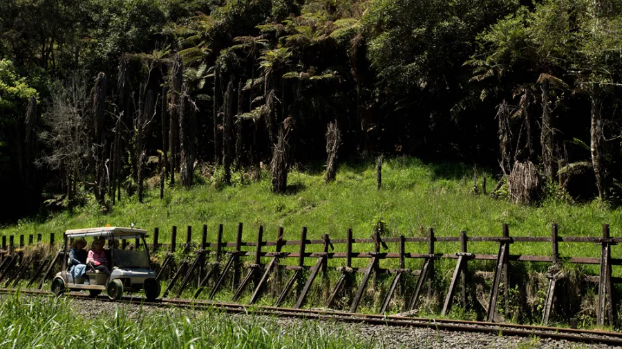 Rail cart travelling past wooden embankment reinforcements and native bush.