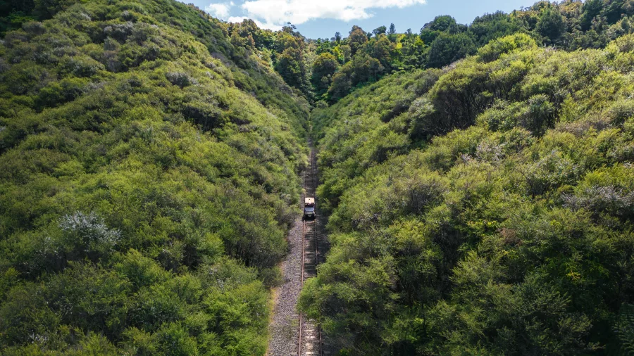 Rail cart travelling through a narrow bush-lined cutting surrounded by dense greenery in remote New Zealand.