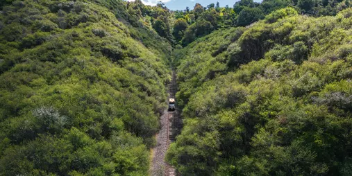 Rail cart travelling through a narrow bush-lined cutting surrounded by dense greenery in remote New Zealand.