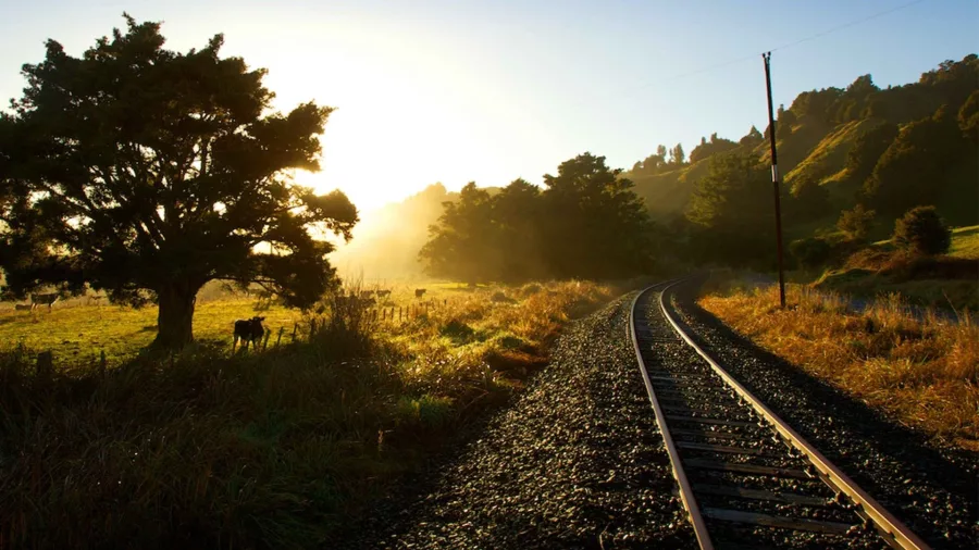 Golden sunlight over remote railway tracks in New Zealand’s Forgotten World Adventures Epic trip.