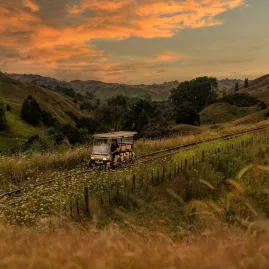 Rail cart travelling through rolling hill country under a dramatic sunset sky on the Forgotten World Adventures route.