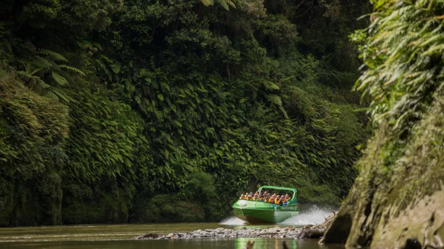 Passengers enjoying the Whanganui River Jet boat ride through lush bush on the Forgotten World Expedition.