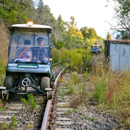Rail cart travelling along an overgrown track beside a weathered shed on the Forgotten World Adventures journey.