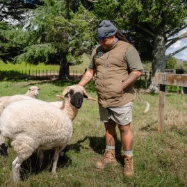 Local guide interacting with sheep on a farm visit as part of the Forgotten World Adventures experience.