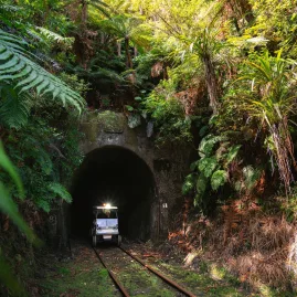 Rail cart exiting a tunnel surrounded by dense native ferns and bush on the Forgotten World Adventures route.