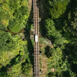 Aerial view of a rail cart crossing a narrow bridge surrounded by dense native forest on the Forgotten World Adventures route.
