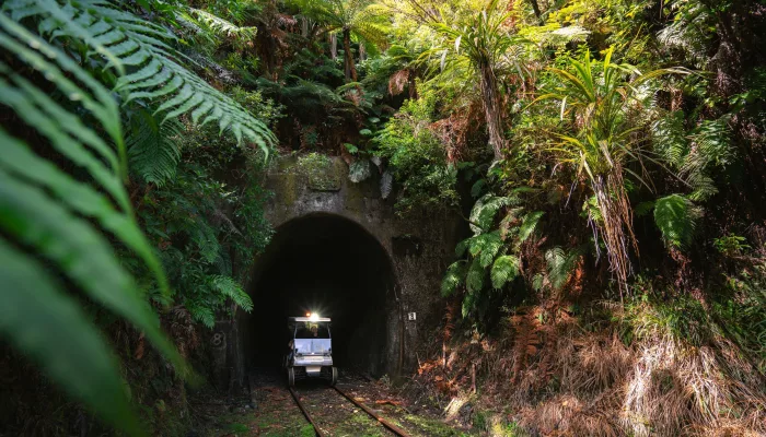 Rail cart exiting a tunnel surrounded by dense native ferns and bush on the Forgotten World Adventures route.
