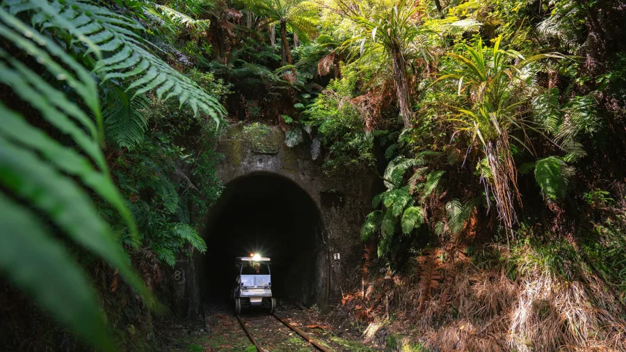 Rail cart exiting a tunnel surrounded by dense native ferns and bush on the Forgotten World Adventures route.