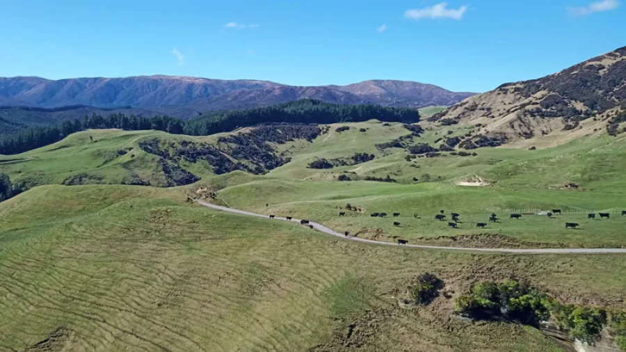 Aerial view of rolling farmland and cyclists along a road near Otupae Range