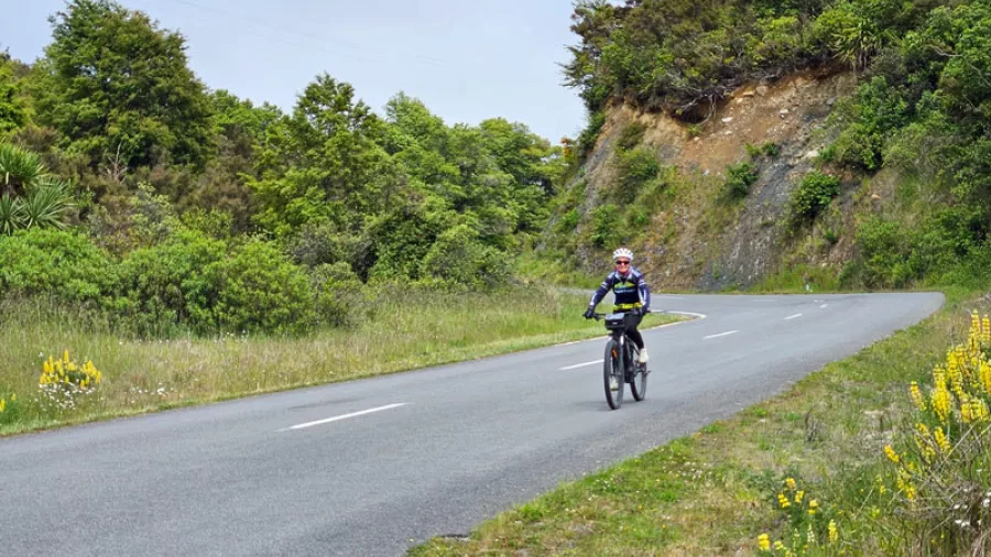 E-bike rider on a quiet sealed road surrounded by native bush and roadside flowers