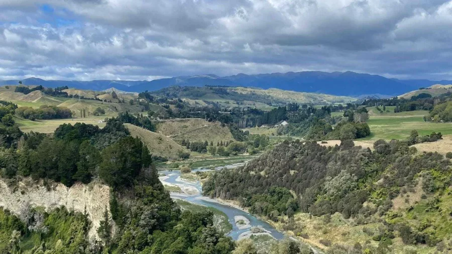 Scenic view of the Rangitikei River winding through valleys and native bush under a partly cloudy sky