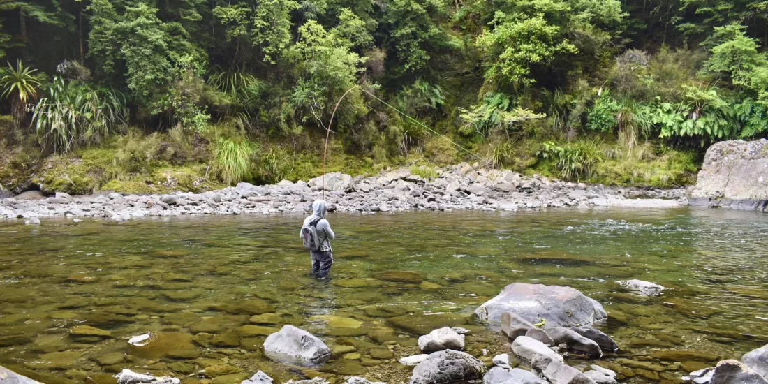 Angler fly fishing in a shallow, rocky pool surrounded by native New Zealand bush