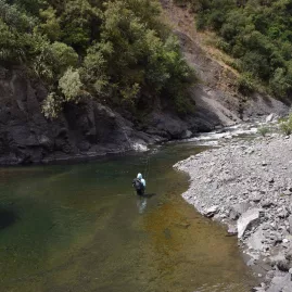 Fisherman wading alone at a bend in a remote section of the Rangitikei River