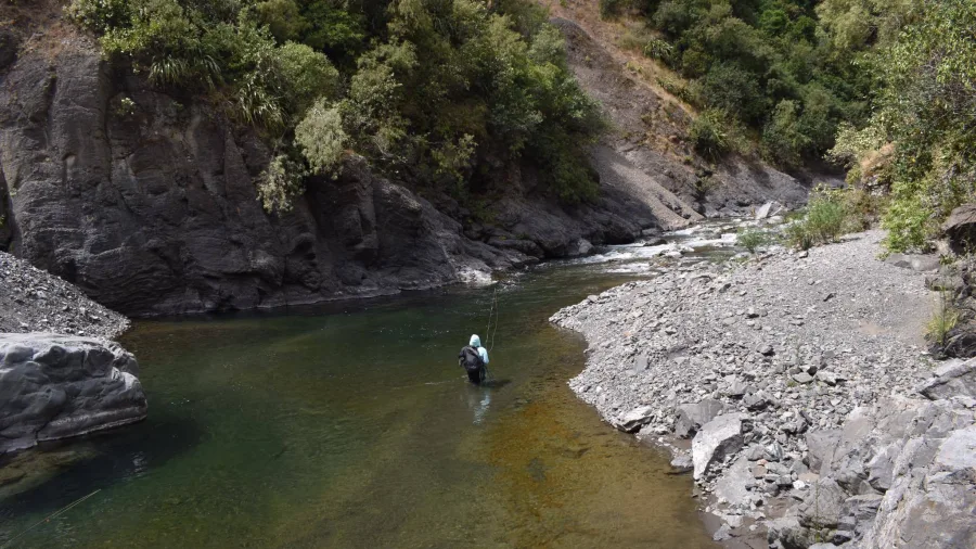 Fisherman wading alone at a bend in a remote section of the Rangitikei River