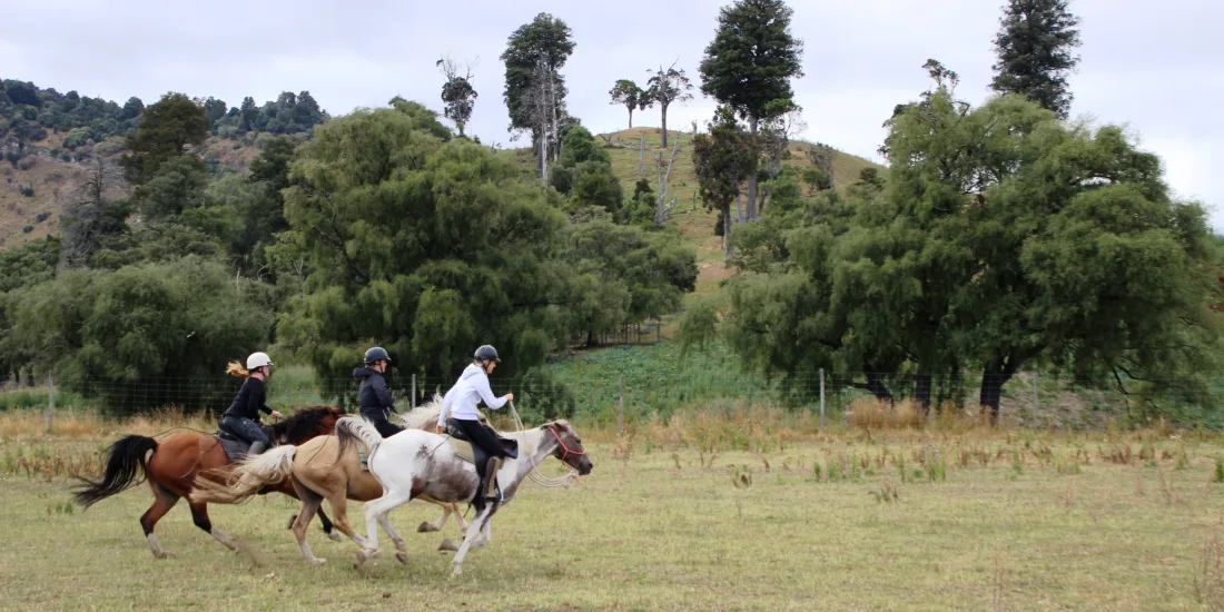 Three confident riders cantering their horses across a grassy paddock near the foothills
