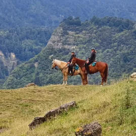 Two experienced riders on horseback pausing atop Pukeokahu Hill with forested ranges behind
