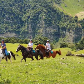 Group of riders cantering across lush green pastures during Burn the Breeze tour