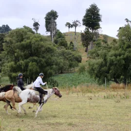 Three confident riders cantering their horses across a grassy paddock near the foothills