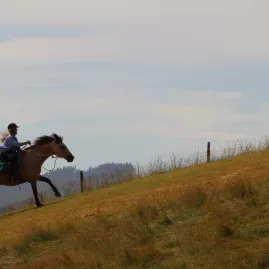 Two horse riders cantering uphill on a grassy slope under a soft sky