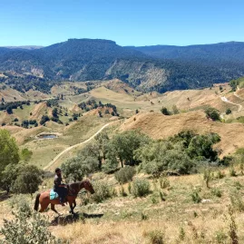Horse rider gazing across winding hill trails and vast backcountry landscapes
