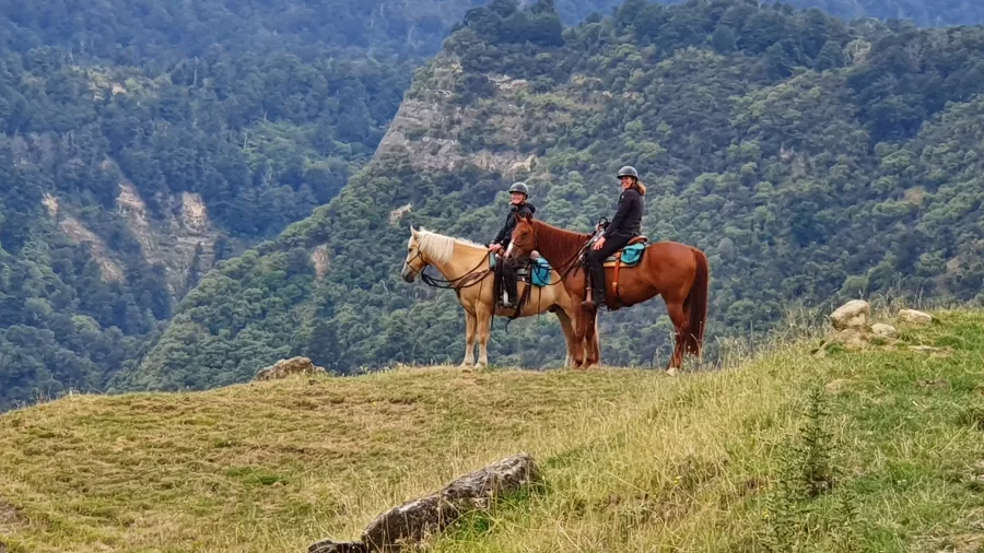 Two experienced riders on horseback pausing atop Pukeokahu Hill with forested ranges behind