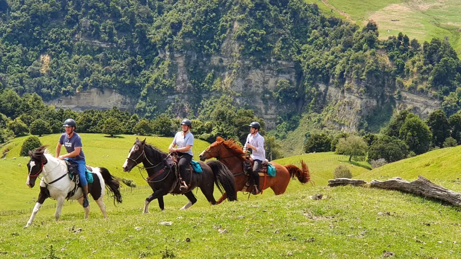 Group of riders cantering across lush green pastures during Burn the Breeze tour