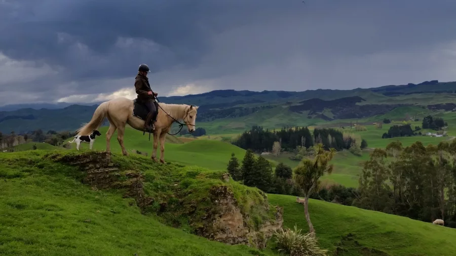 Lone rider and horse gazing across green valleys with moody skies above
