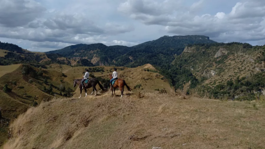 Two riders on horseback pausing along a ridgeline with vast hill country views