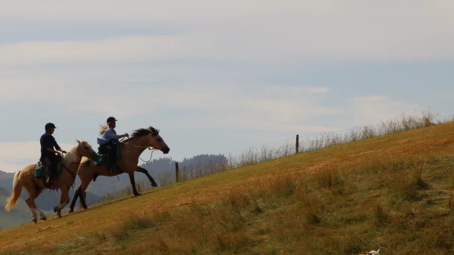 Two horse riders cantering uphill on a grassy slope under a soft sky