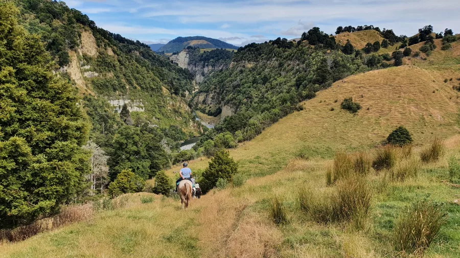 Rider on a trail descending into the Rangitikei River canyon with cliffs in the distance