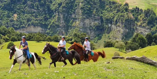 Group of riders cantering across lush green pastures during Burn the Breeze tour