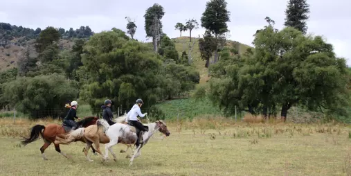 Three confident riders cantering their horses across a grassy paddock near the foothills