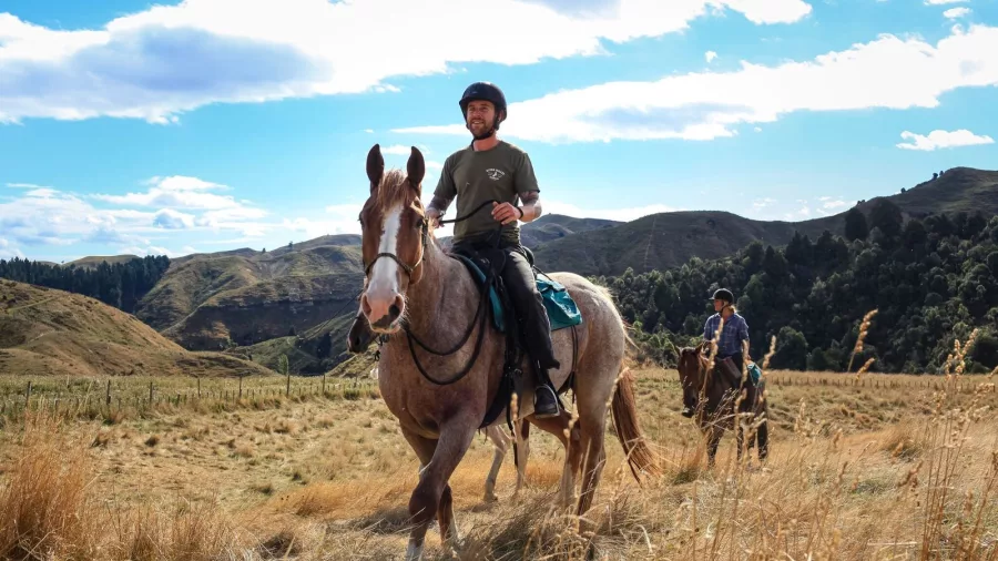Rider on Thomas the horse at River Valley