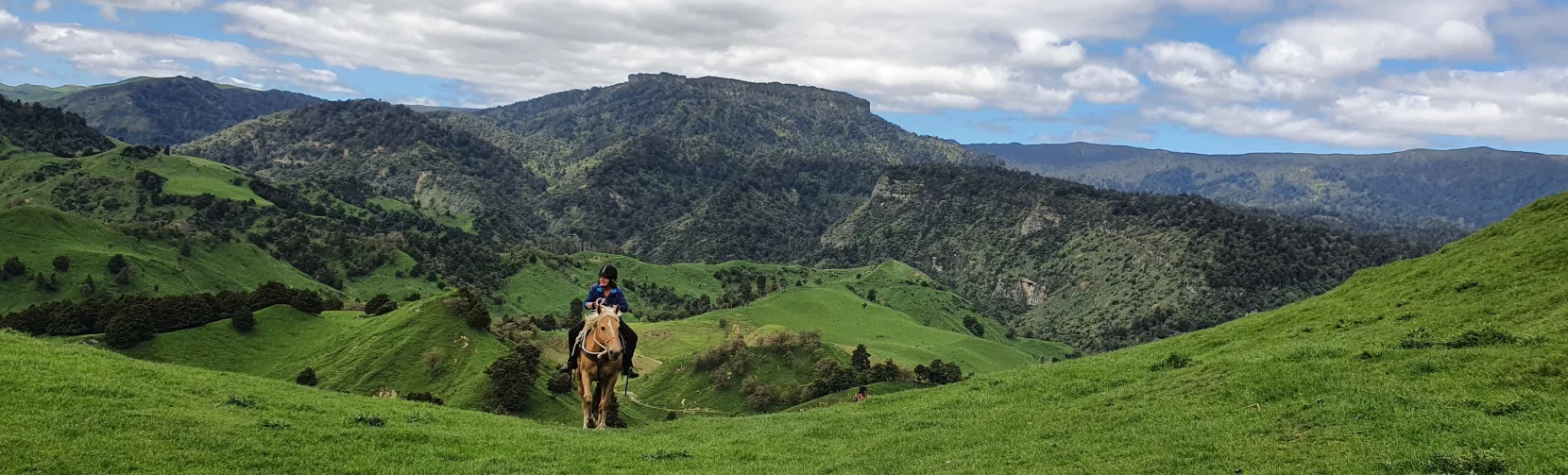 Horse and rider in expansive River Valley landscape