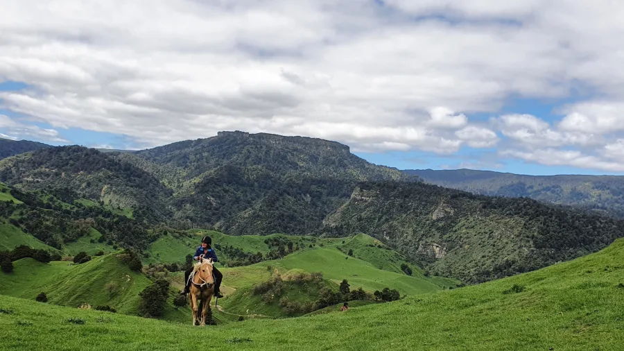 Horse and rider in expansive River Valley landscape