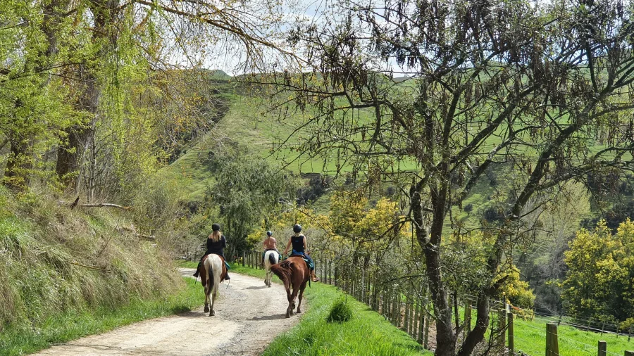 Horse riders following a leafy countryside trail on Harmony With Horses tour