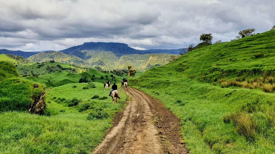Group of riders trekking through scenic River Valley hills on horseback