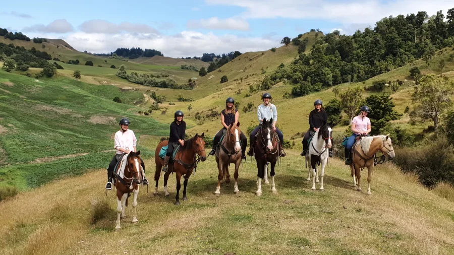 Group of riders at scenic overlook during Harmony With Horses trail ride