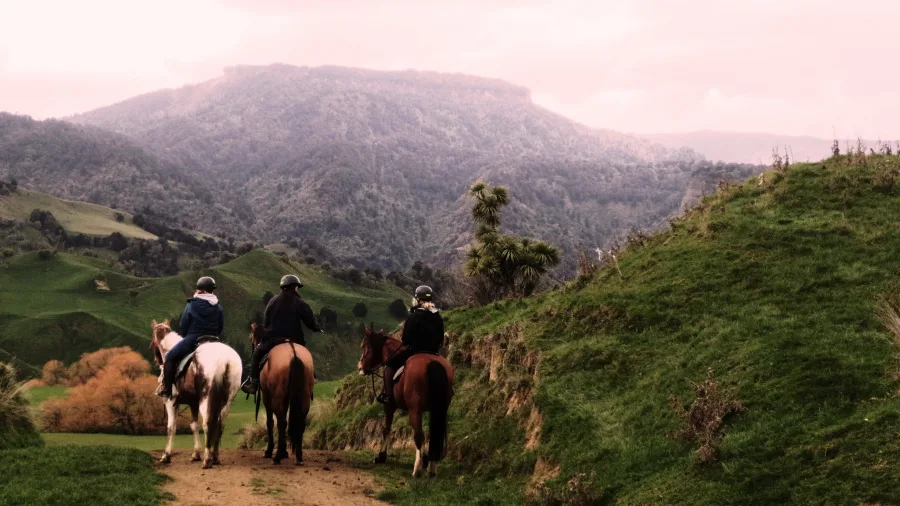 Riders pausing atop a hill on the Harmony With Horses tour, River Valley Hill Country