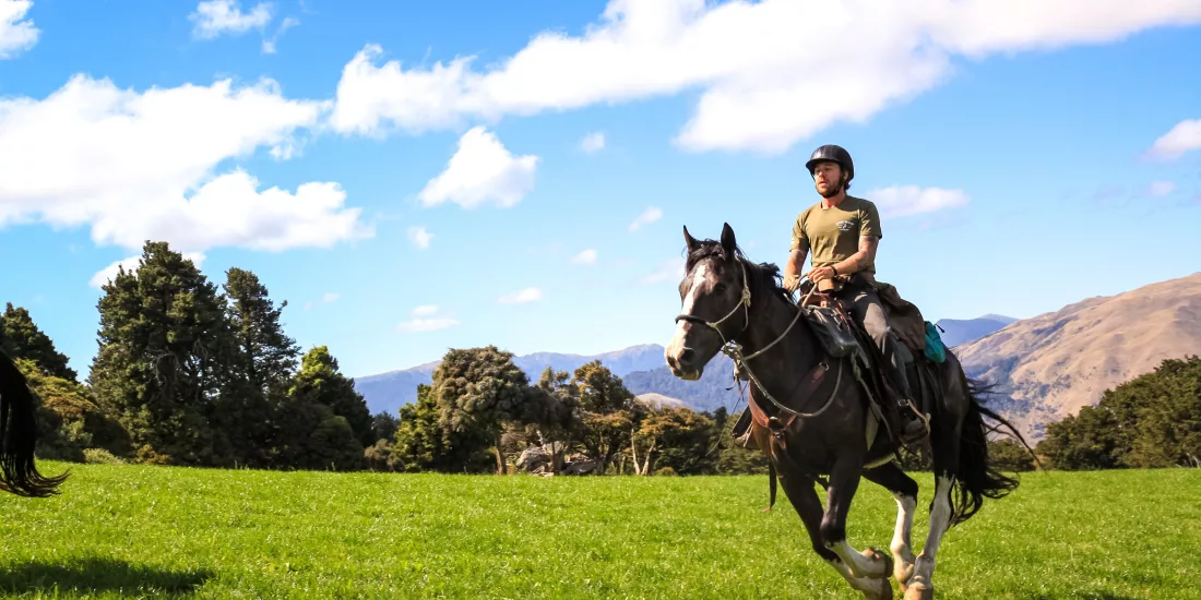Horse and rider cantering across a green meadow with hills in the background