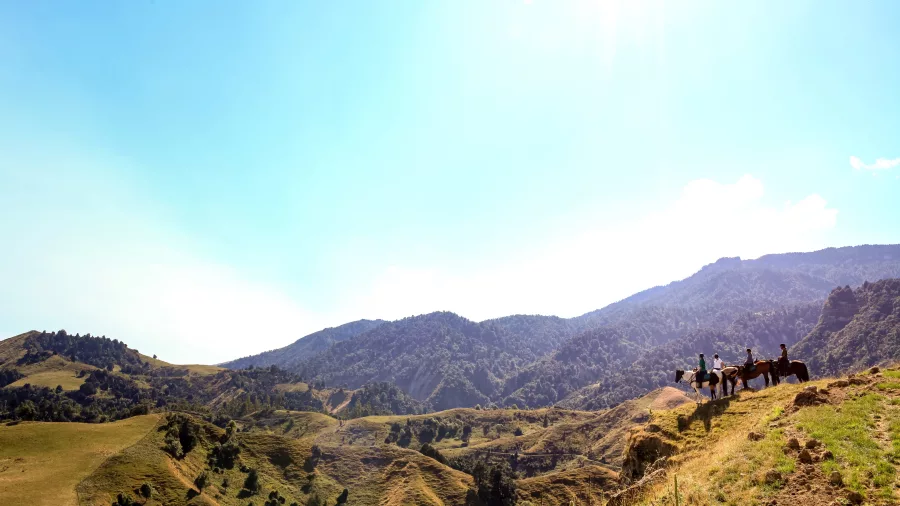 Horse riders taking in vast mountain views on a ridge in the New Zealand backcountry