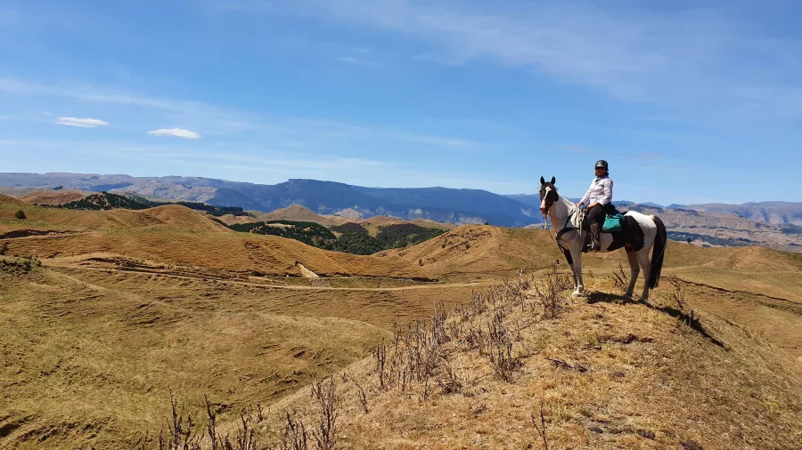 Rider on horseback on a high ridge surrounded by rolling brown hills