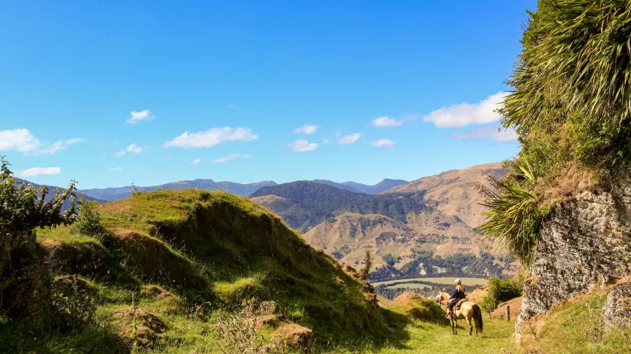Rider entering a hidden valley with native bush and hills stretching into the distance