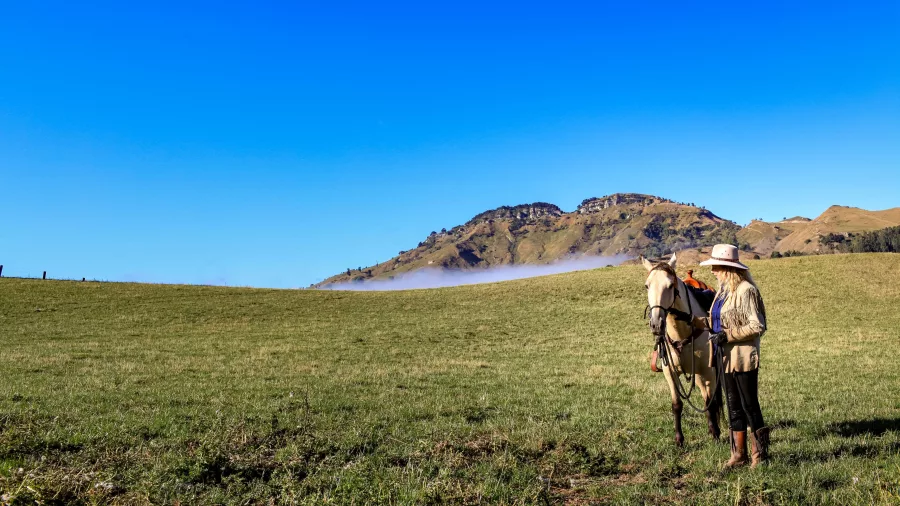 Woman standing with her horse in an open paddock under clear blue skies