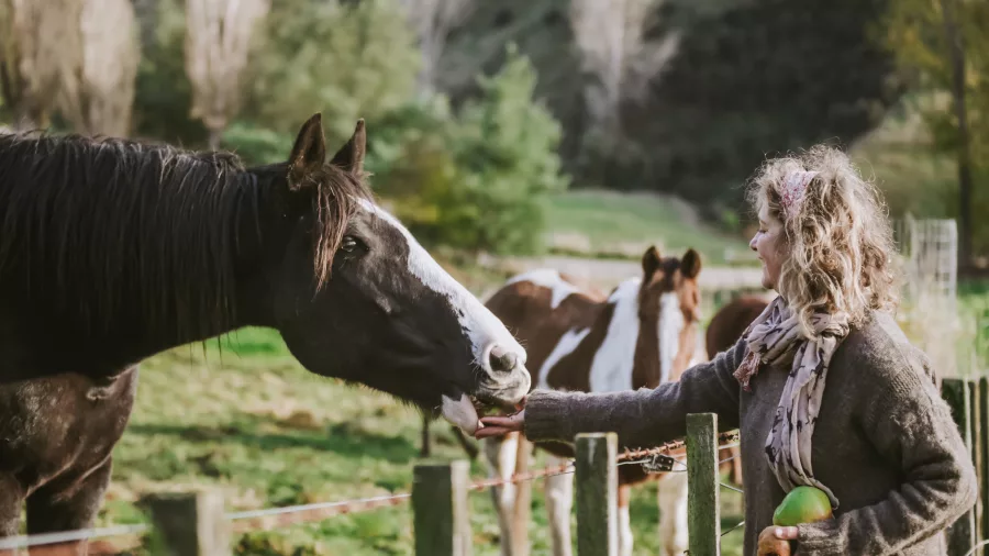Woman hand-feeding an apple to a black and white horse at the fenceline