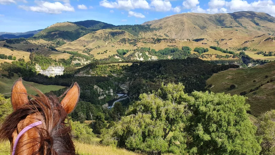 View of Rangitikei valley framed by a horse’s ears, showing the rider’s perspective