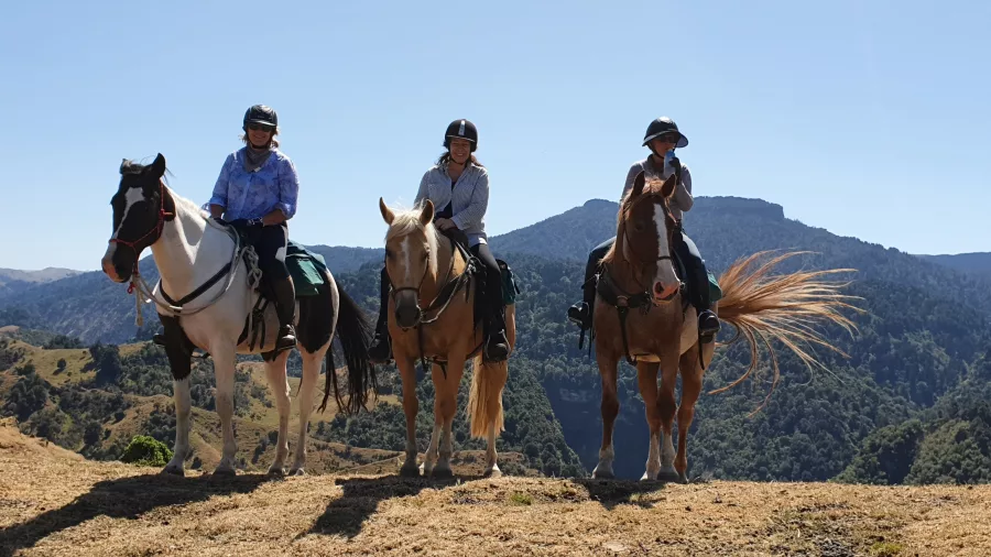 Three riders on horseback enjoying mountain and canyon views from a high ridge