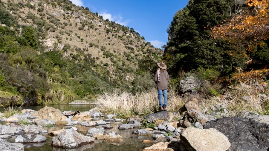 Person standing beside a rocky riverbank in a lush green valley at River Valley