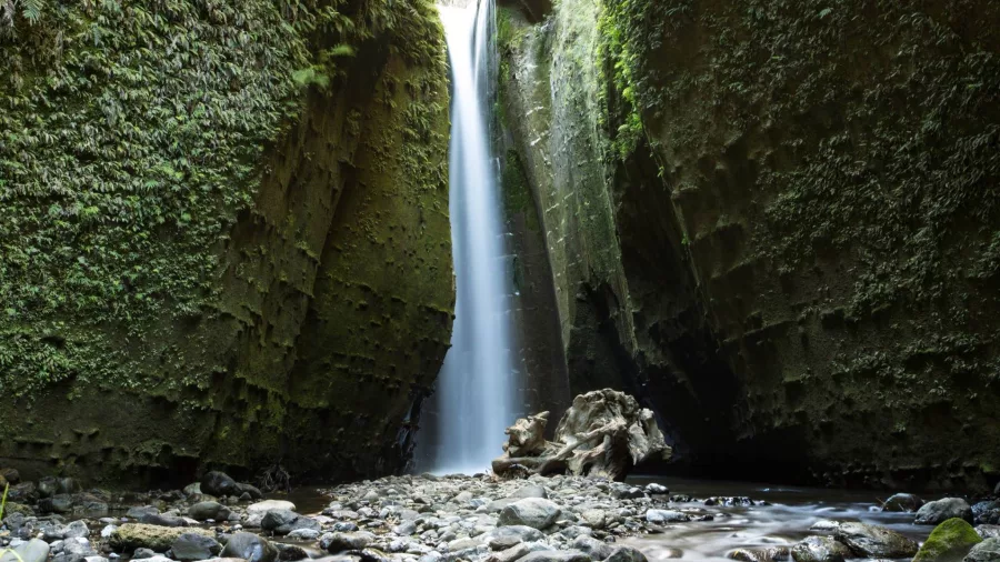 Hidden waterfall cascading between moss-covered cliffs on the Rangitikei River