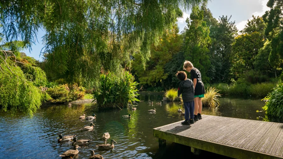 Family feeding ducks at Hokowhitu Lagoon in Palmerston North